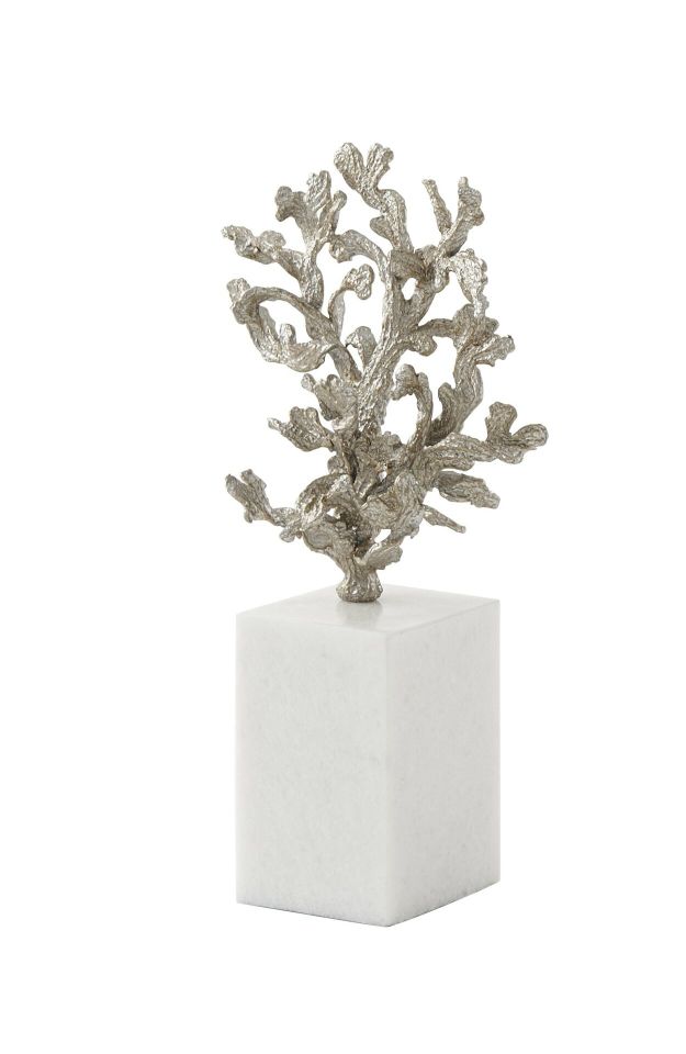 MERCAN VE NAUTILUS AKSESUAR SETİ