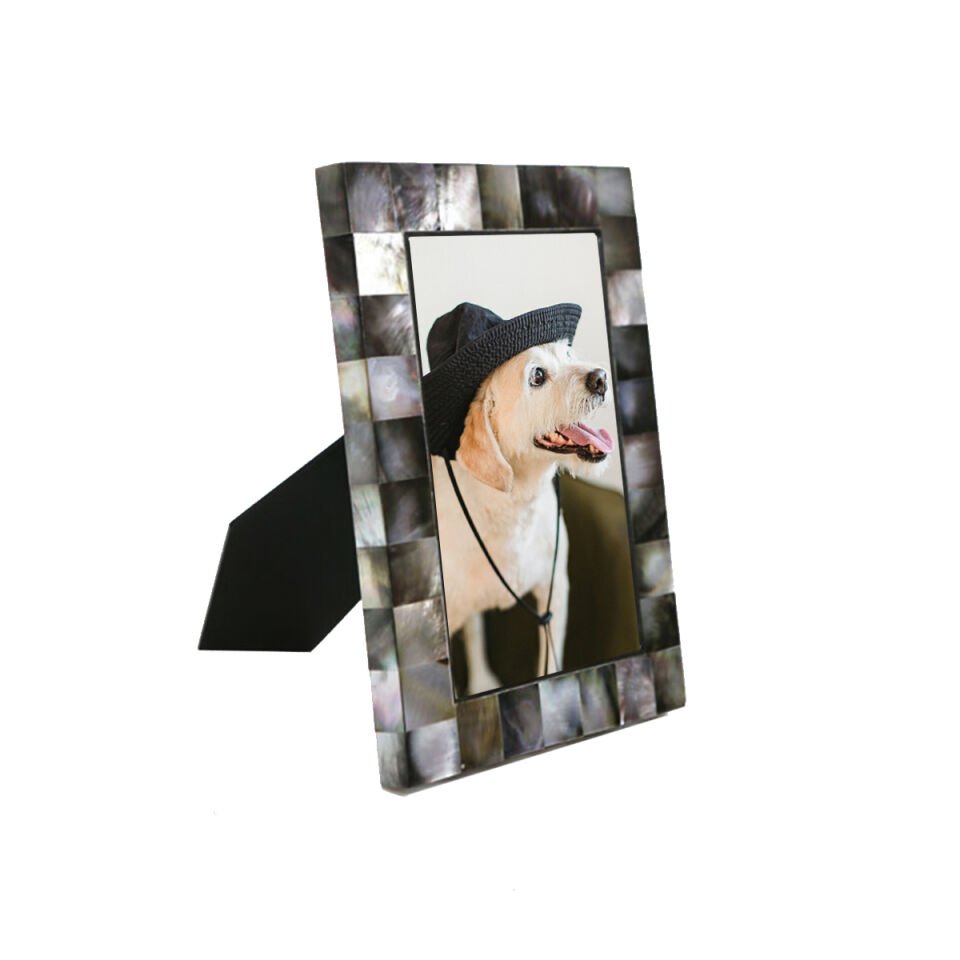 FİLDİŞİ ÇERÇEVE