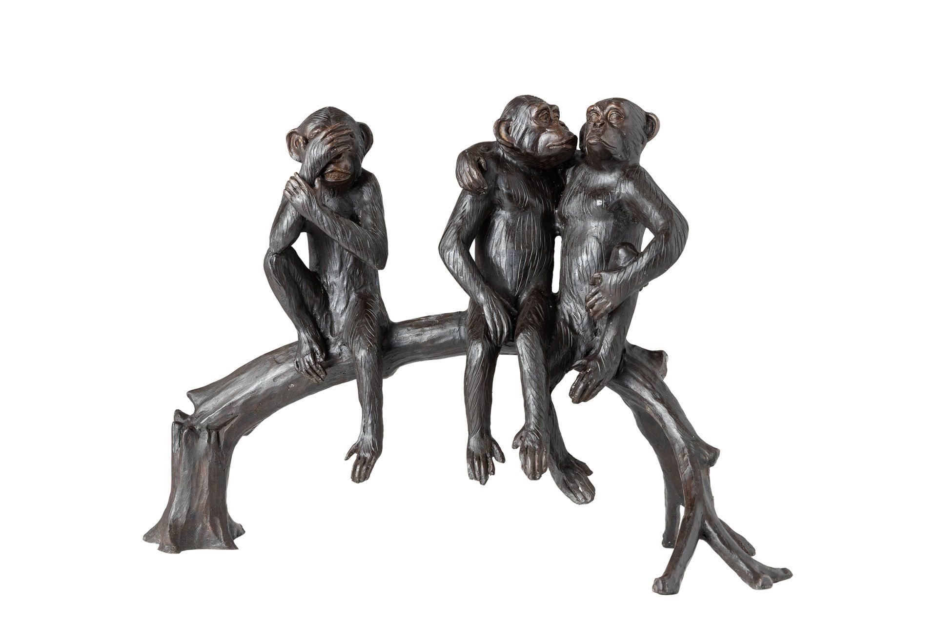 AĞAÇ KÜTÜĞÜNDE OTURAN MAYMUNLAR