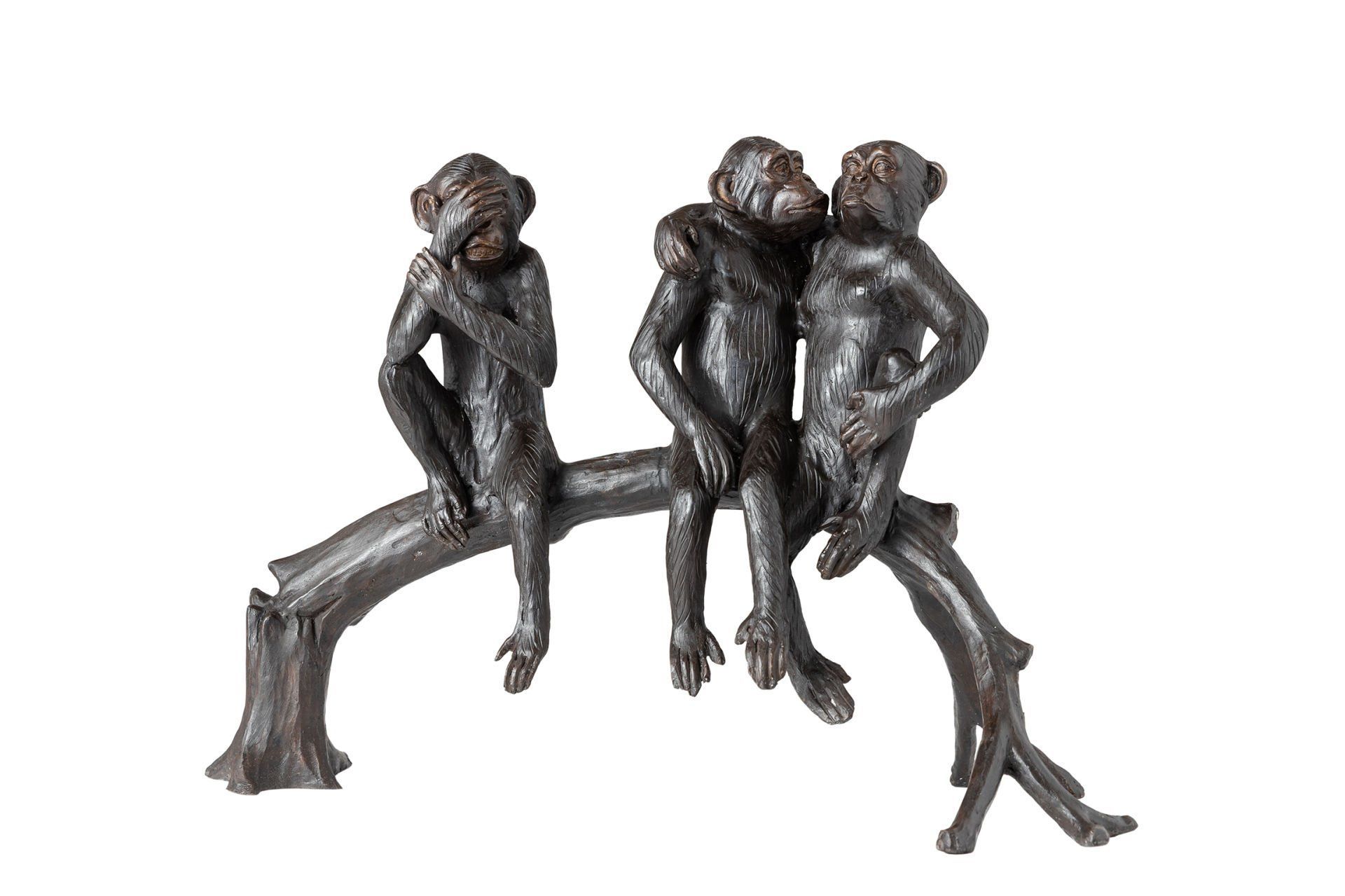 AĞAÇ KÜTÜĞÜNDE OTURAN MAYMUNLAR