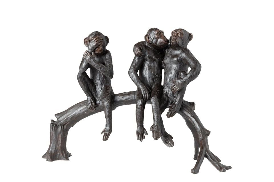 AĞAÇ KÜTÜĞÜNDE OTURAN MAYMUNLAR