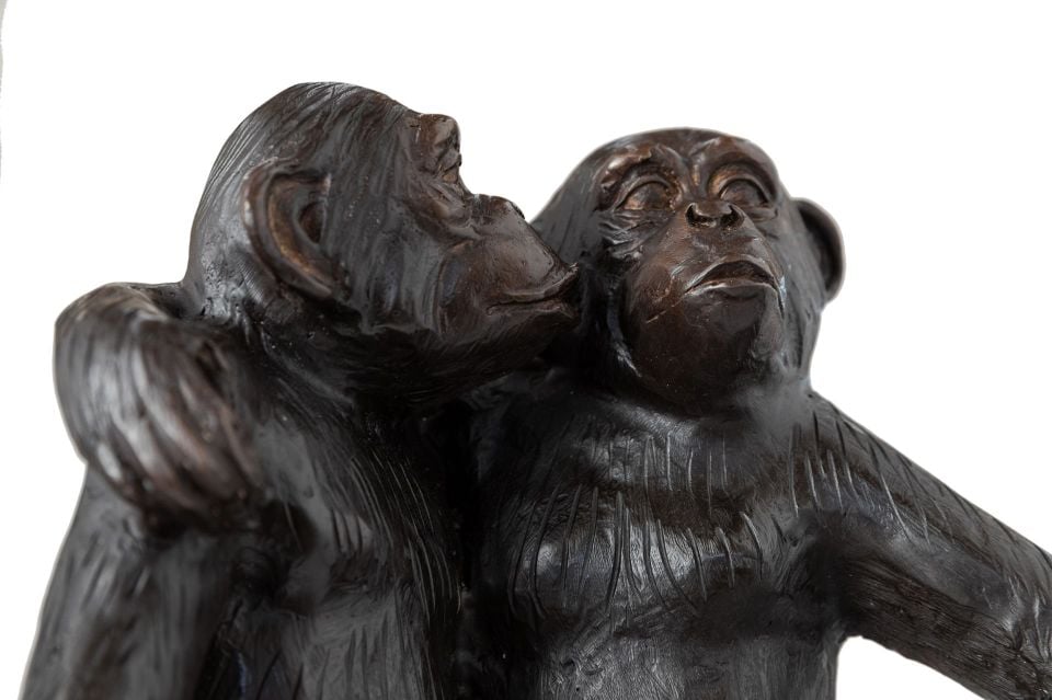 AĞAÇ KÜTÜĞÜNDE OTURAN MAYMUNLAR