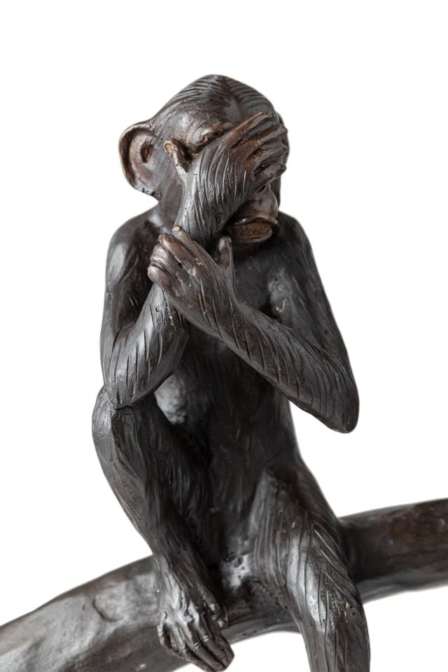 AĞAÇ KÜTÜĞÜNDE OTURAN MAYMUNLAR