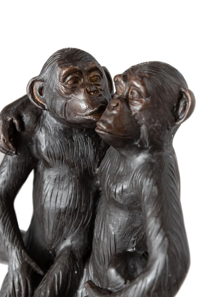 AĞAÇ KÜTÜĞÜNDE OTURAN MAYMUNLAR