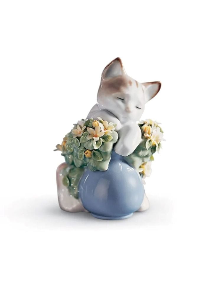 YAVRU KEDİ