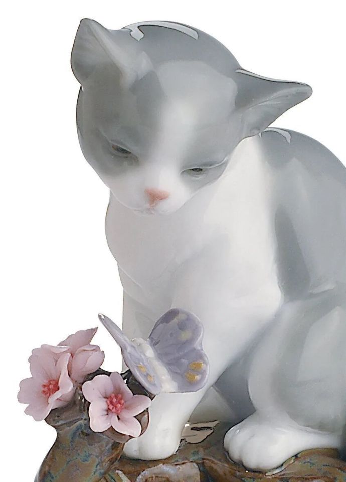 YAVRU KEDİ