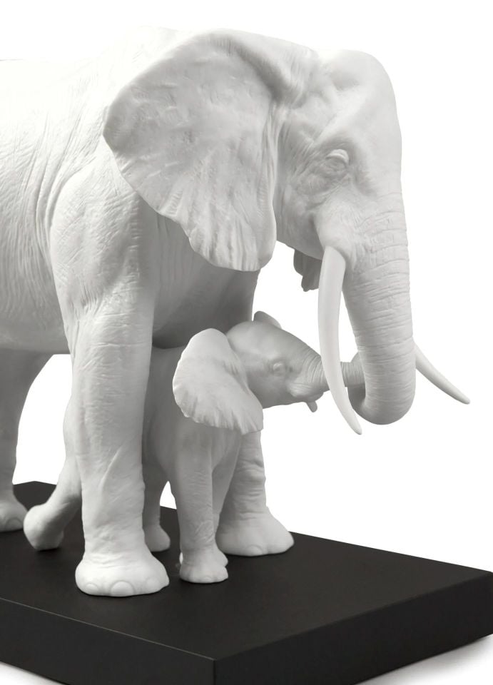 LEADING THE WAY ELEPHANTS