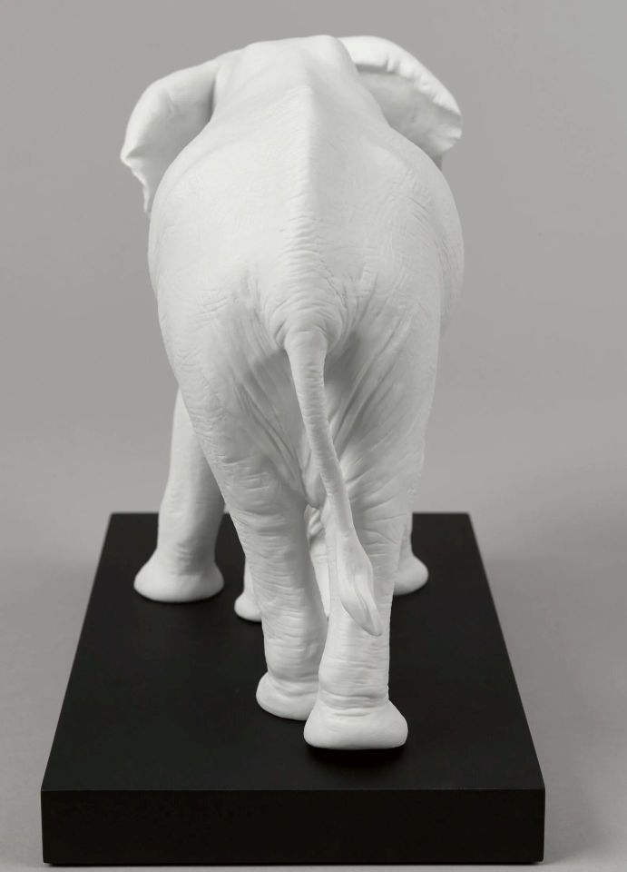 LEADING THE WAY ELEPHANTS