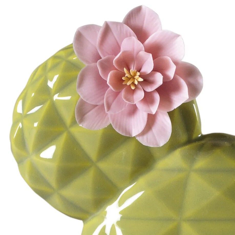 OPUNTIA KAKTÜS ODA KOKUSU