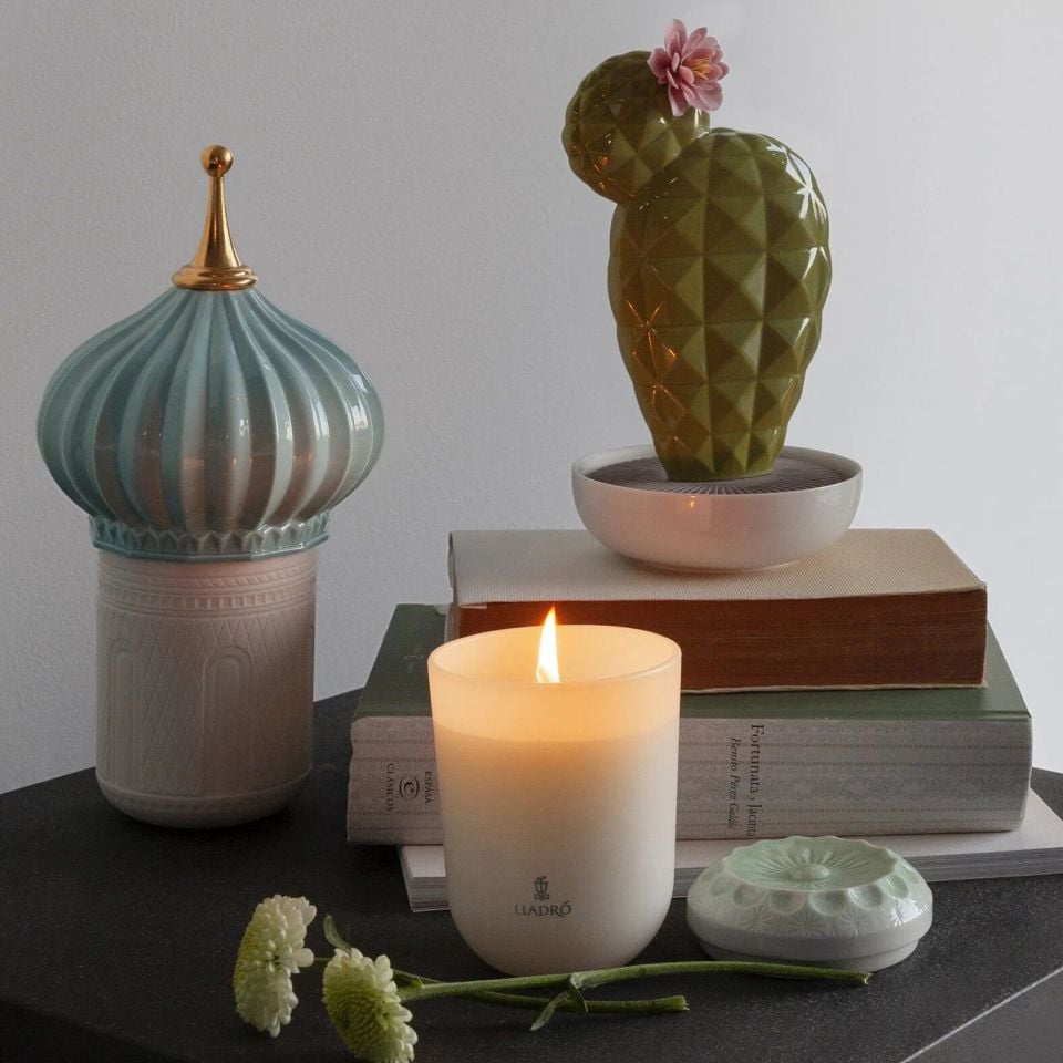 OPUNTIA KAKTÜS ODA KOKUSU