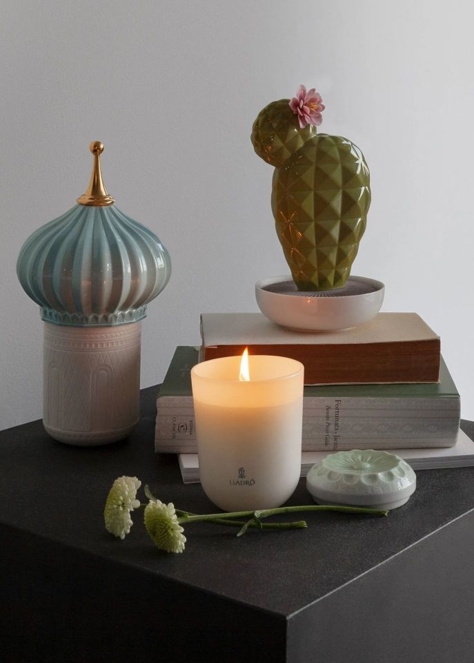 ASTROPHYTUM KAKTÜS ODA KOKUSU