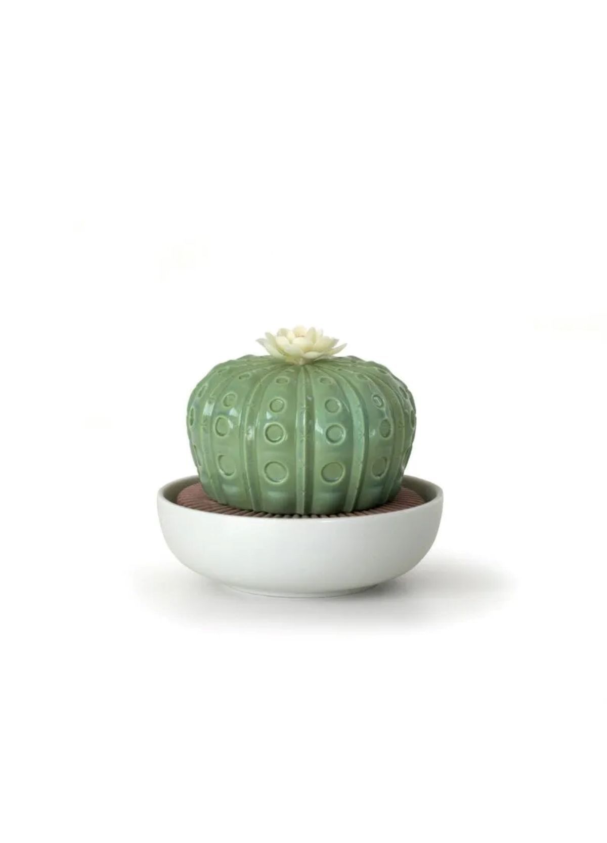 ASTROPHYTUM KAKTÜS ODA KOKUSU DEKORATİF OBJE