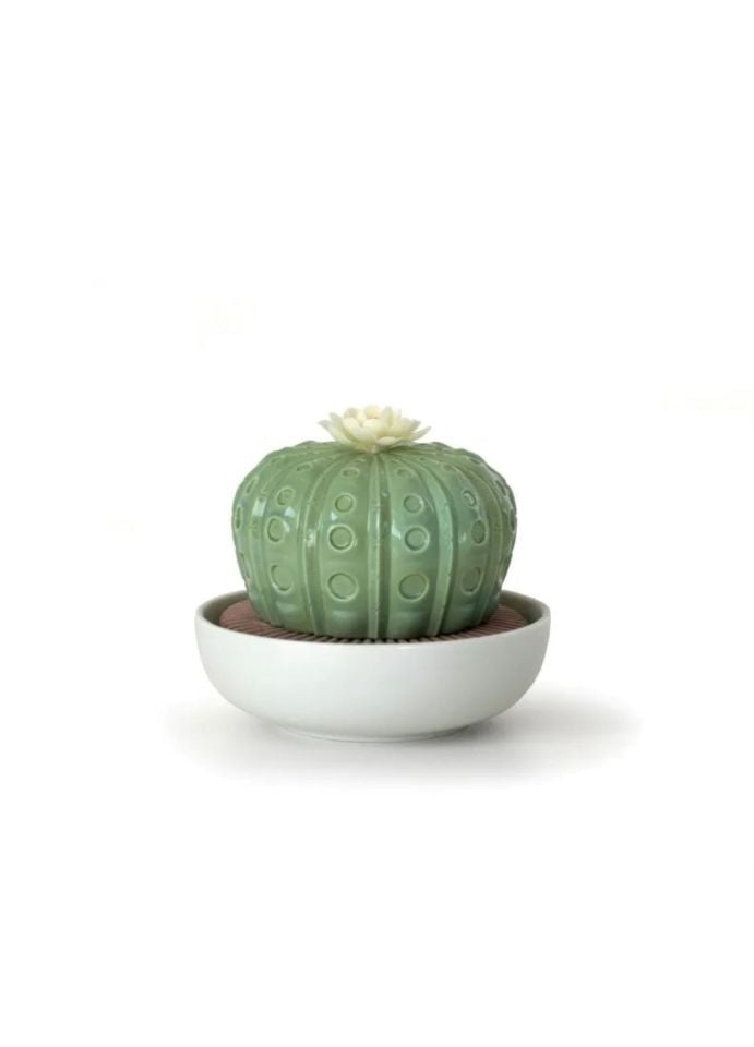 ASTROPHYTUM KAKTÜS ODA KOKUSU DEKORATİF OBJE