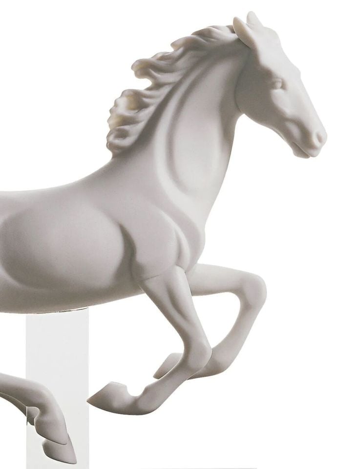 GALLOP I