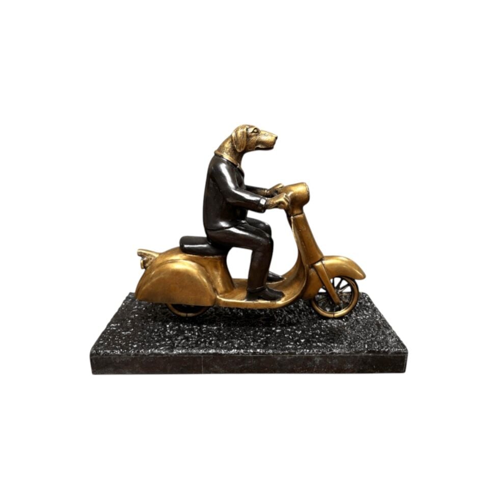 SKUTERDE BİR KÖPEK