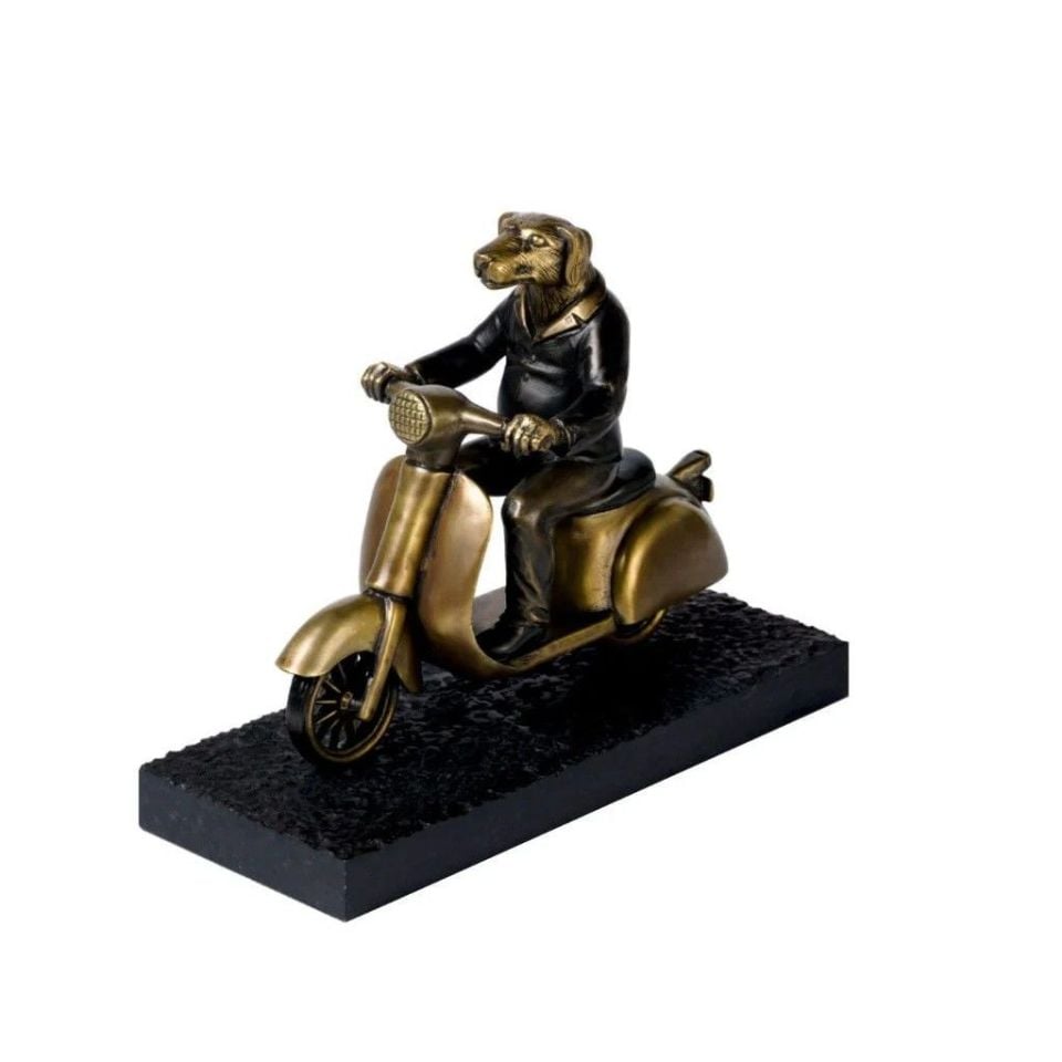 SKUTERDE BİR KÖPEK